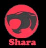 shara testy
